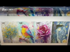 Soluzione di verniciatura con texture Baosiwei